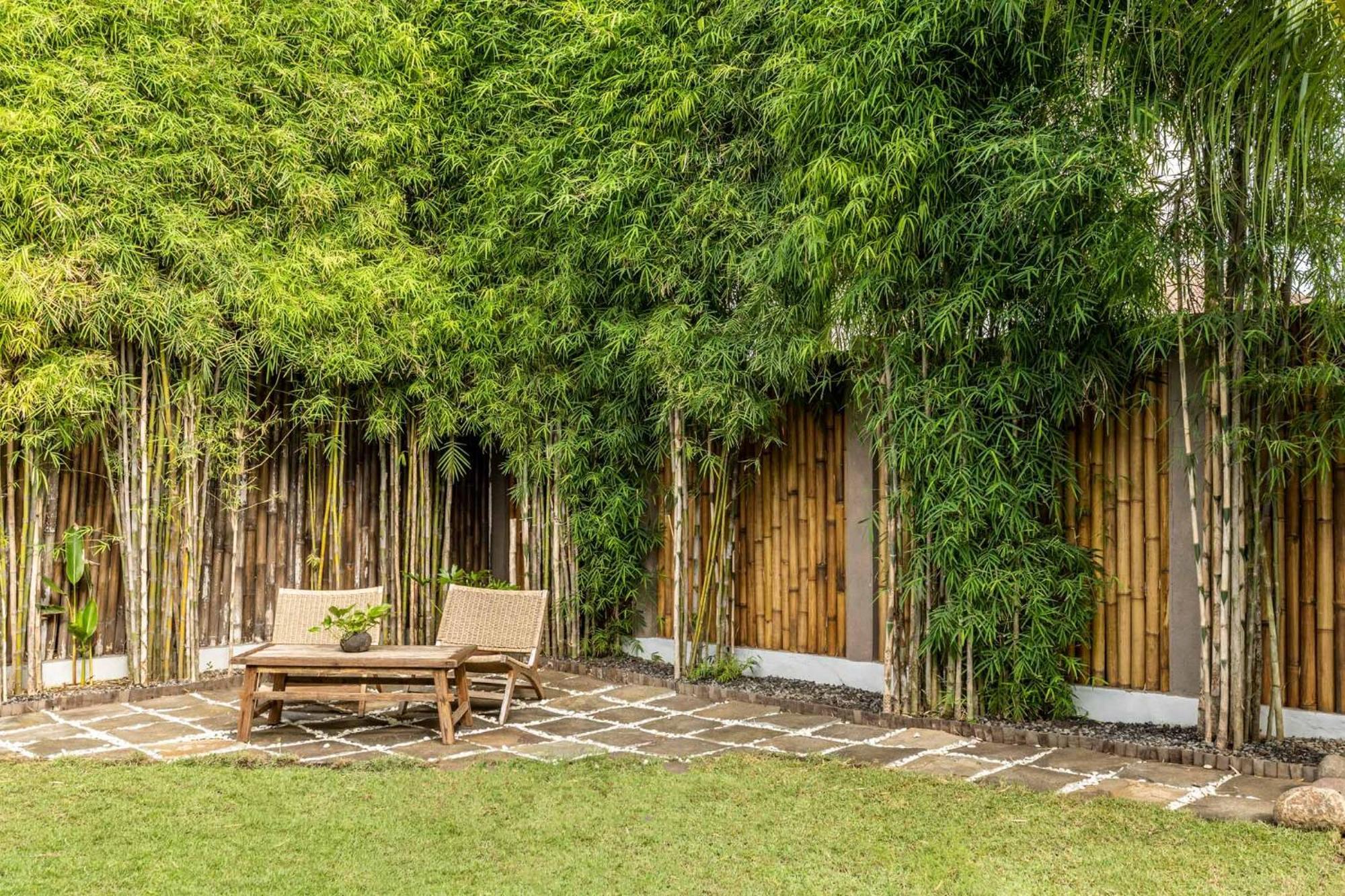 Rimba Villas Гілі-Аїр Номер фото